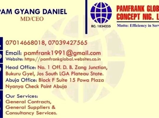 PAMFRANK GLOBAL CONCEPT NIG LTD