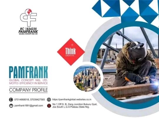 PAMFRANK GLOBAL CONCEPT NIG LTD