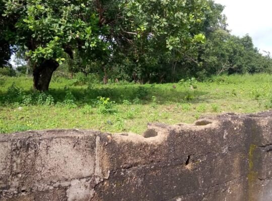 Sales of 10 Plots of Land