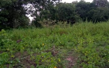 Sales of 10 Plots of Land