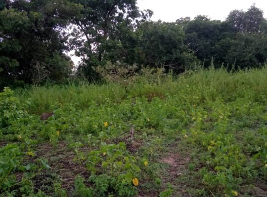 Sales of 10 Plots of Land