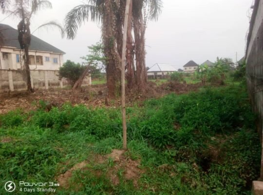 2 and half plots in Rumuagholu
