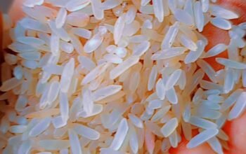Nigerian Parboiled Rice