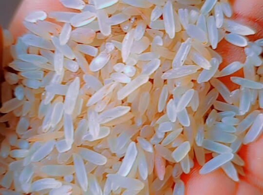 Nigerian Parboiled Rice