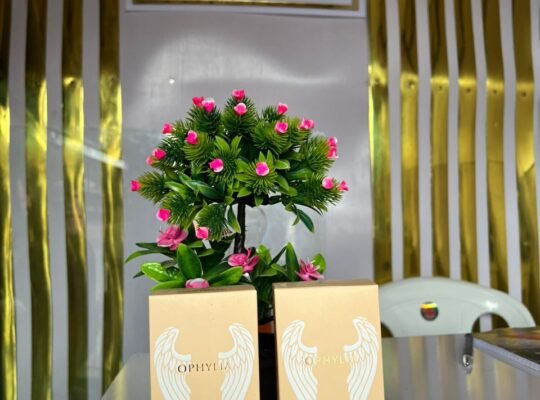 Perfumes