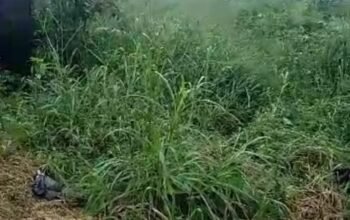 1 plot of land in Rukpokwu PH
