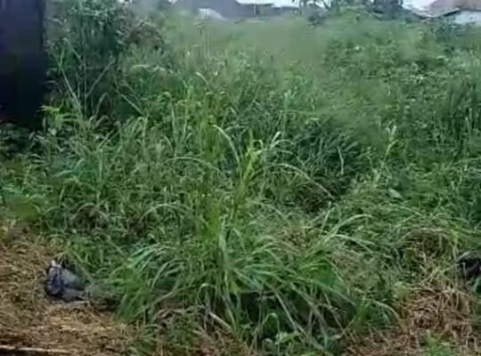 1 plot of land in Rukpokwu PH