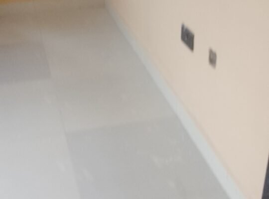 Cleaning services