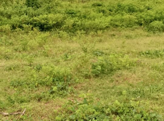 LAND FOR SALE; 1,020sqm