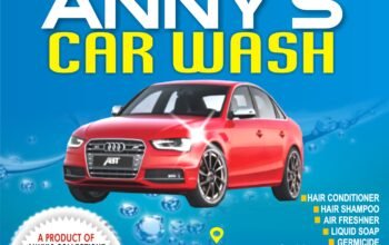 Annys Car Wash