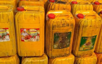 Fresh/Pure red palm Oil