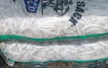 Well processed cassava