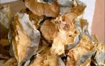 Stockfish marketing outreach!