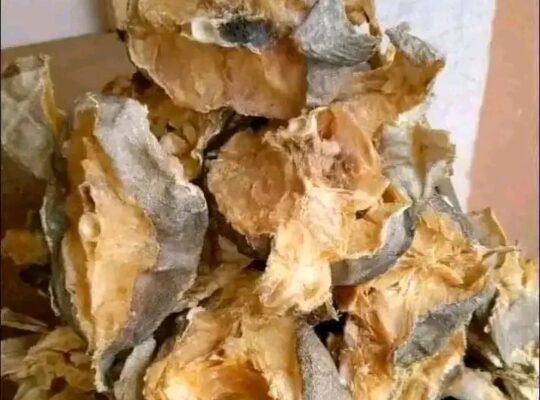 Stockfish marketing outreach!